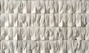 wall of vaginas